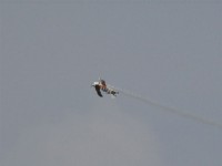 DSC00857.JPG